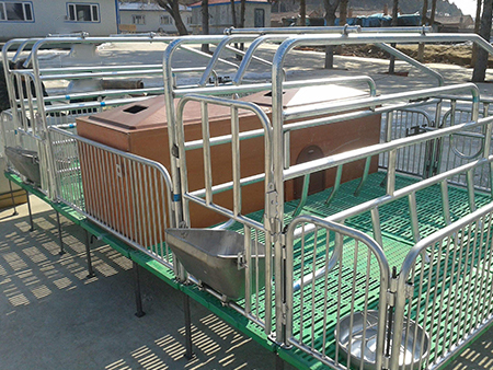 leyu官网:推动乡风文明助力村庄复兴